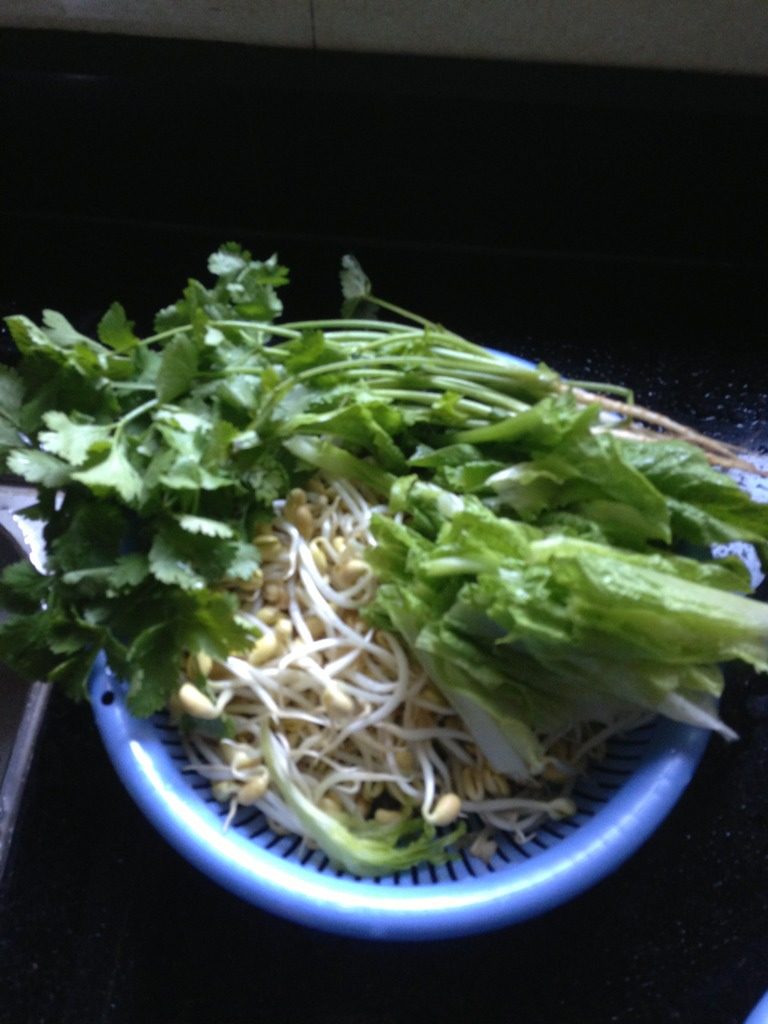 麻辣水煮鱼,配菜洗净