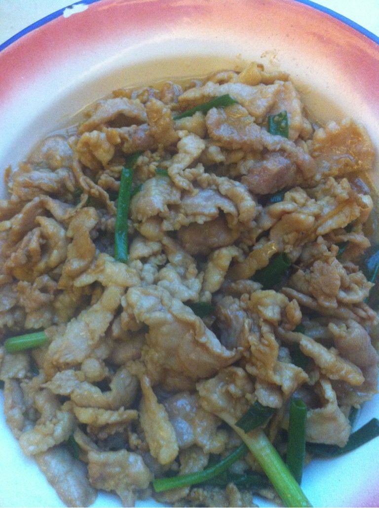家常爆炒姜丝瘦肉,热锅下油，放入切好的<a style='color:red;display:inline-block;' href='/shicai/ 37'>姜</a>丝，煸炒出香味，放入肉片，继续翻炒至肉片变色，淋入<a style='color:red;display:inline-block;' href='/shicai/ 692'>酱油</a>，炒匀后撒入<a style='color:red;display:inline-block;' href='/shicai/ 3250'>葱</a>段，出锅啦。