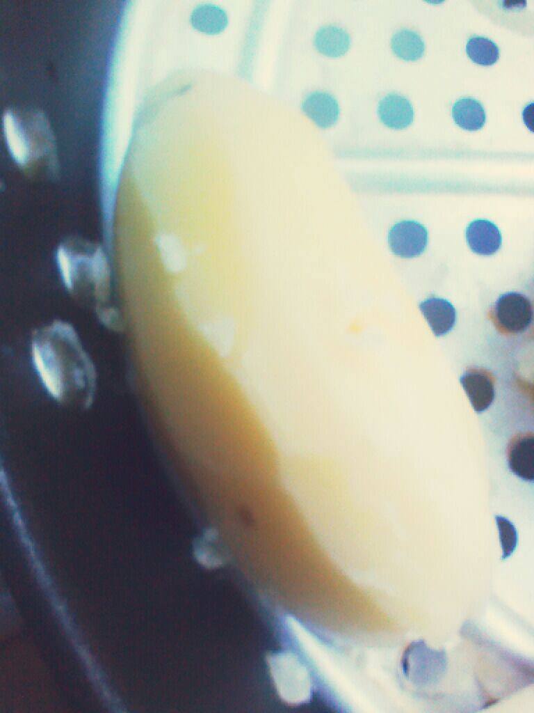 牛奶土豆饼,把<a style='color:red;display:inline-block;' href='/shicai/ 23'>土豆</a>碾碎。