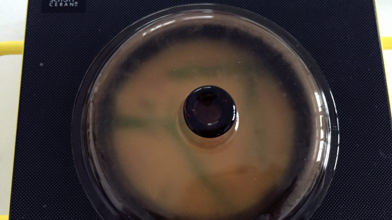 芦笋虾仁蛋饼—口感松软,补充丰富的蛋白质,盖上盖子,用最小最小的火,慢慢烘烤,差不多20分钟的样子。
ps:用小火是关键哈,小芽用电陶炉2档,大概100度的样子,不然容易底部煎焦了
