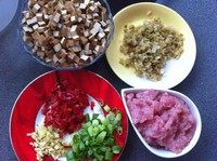 下饭菜 — 老干妈炒香干,香干洗净切小方丁,瘦肉剁成肉沫,榨菜切碎,红辣椒、姜、葱切碎