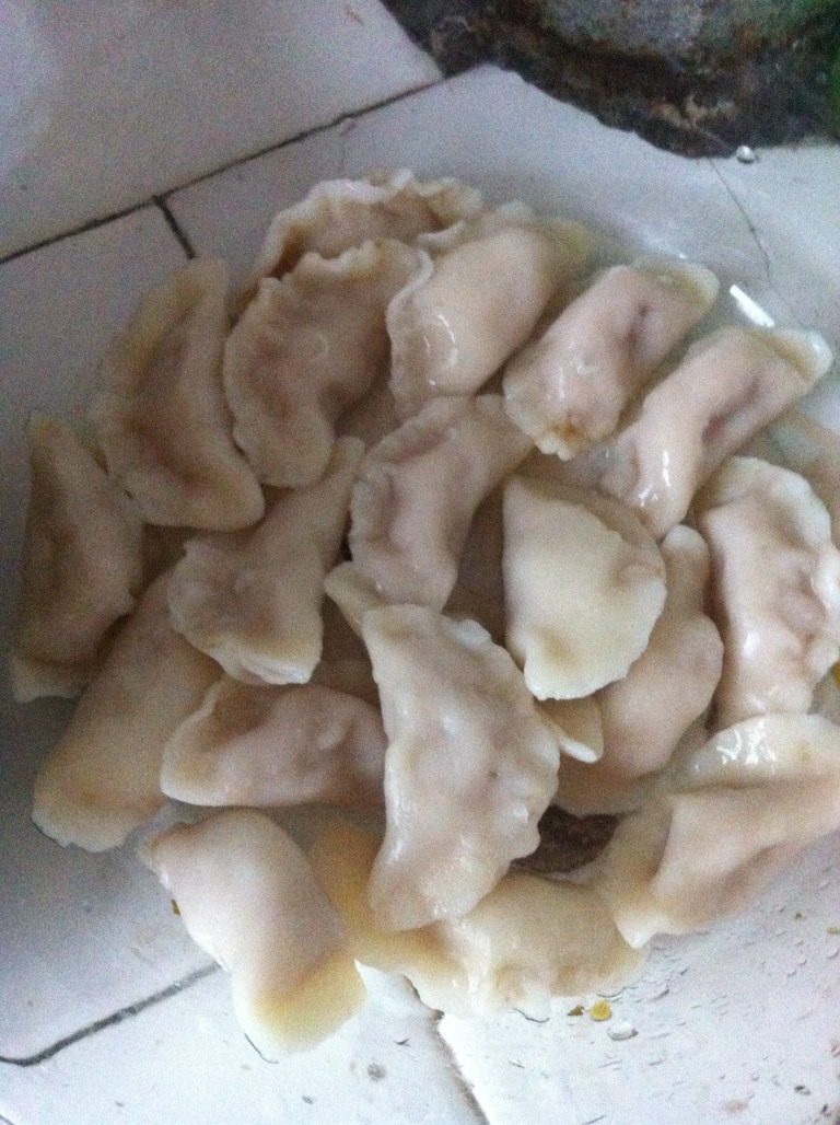 水饺鸭,将鸭子切块、水饺煮熟过凉水后备用、<a style='color:red;display:inline-block;' href='/shicai/ 37'>姜</a>、<a style='color:red;display:inline-block;' href='/shicai/ 3250'>葱</a>切段备用，<a style='color:red;display:inline-block;' href='/shicai/ 81851'>泡青菜</a>切丝备用，泡野山椒切碎备用。