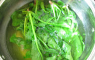 姜汁菠菜,<a style='color:red;display:inline-block;' href='/shicai/ 117'>菠菜</a>洗净后，放入开水锅里氽烫，然后捞出晾干水分