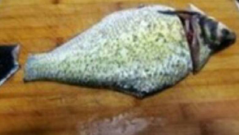 鱼鱼开屏,鲜鱼一条,剁掉头,切记不可剖开鱼肚。刮去鱼鳞,减去鱼鲫。从断口处掏空肚子里的内脏,过水洗净。