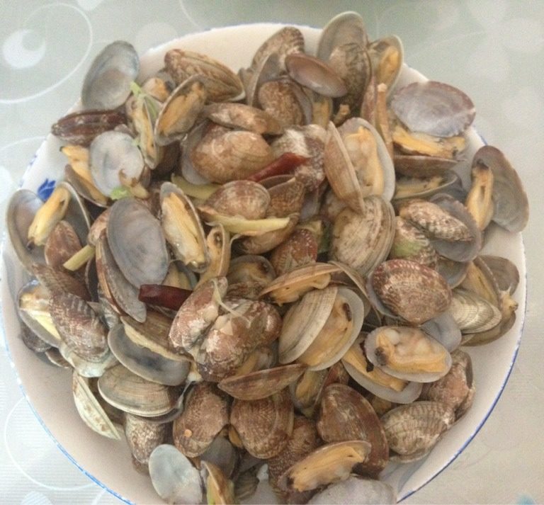 辣炒黑蚬子,热锅入油，放入葱姜辣椒炒香，倒入蚬子，不能带水。不停的上下翻炒，放少许盐，直至蚬子开口，出锅入盘