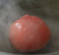 梅味西红柿,座锅烧热,把西红柿放进去稍微烫一下