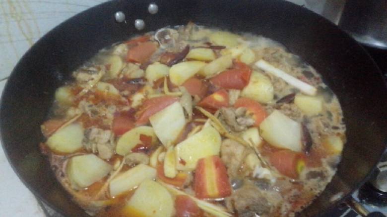 红烧土豆胡萝卜鸡腿肉,鸡腿肉切块，<a style='color:red;display:inline-block;' href='/shicai/ 23'>土豆</a><a style='color:red;display:inline-block;' href='/shicai/ 25'>胡萝卜</a>滚刀切块，姜切丝，蒜直接用刀拍好，<a style='color:red;display:inline-block;' href='/shicai/ 138'>大葱</a>切段