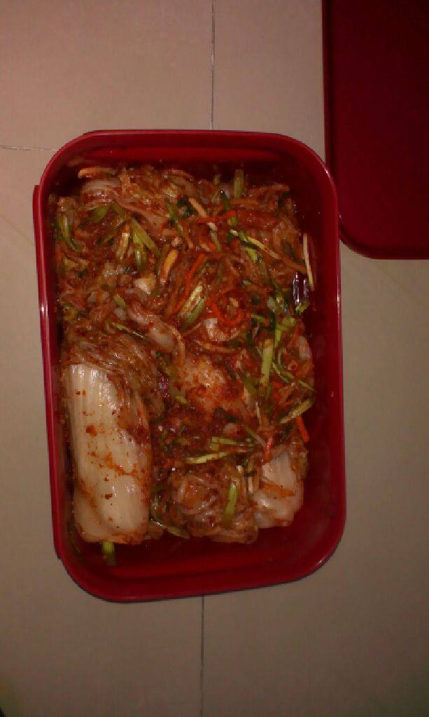 高仿韩国辣白菜,做完的样子。