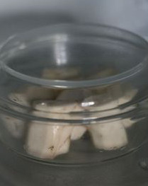 山药蜜乳泥,装进微波炉适用的容器中,带盖高火加热6分钟