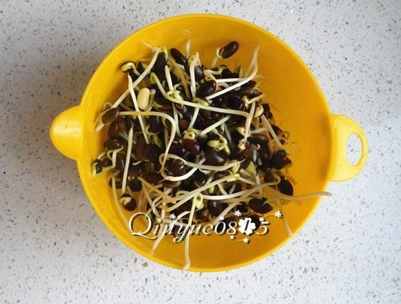肉丝炒黑豆芽#有个故事#        ,准备食材