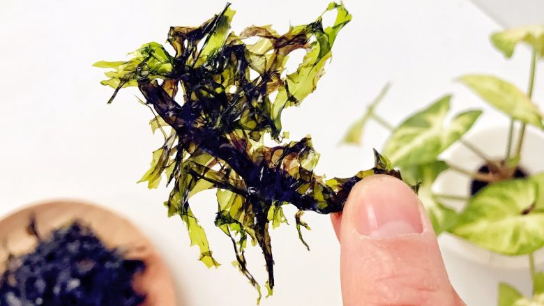 宝宝辅食:自制海苔,一、平底锅版本:
6、出锅出锅,赶紧美美享用吧。