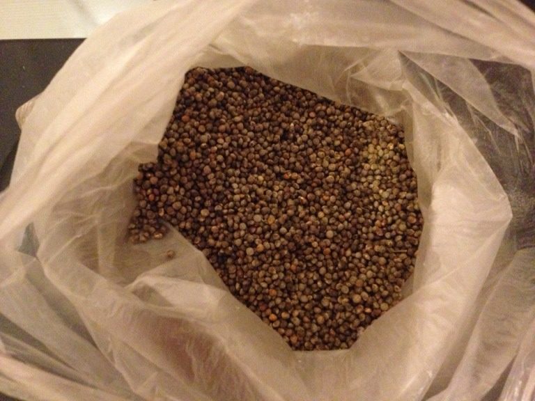 苏子籽薄饼,把苏子籽放在干净锅中用微活煲熟,大约1分钟左右,无需放油;