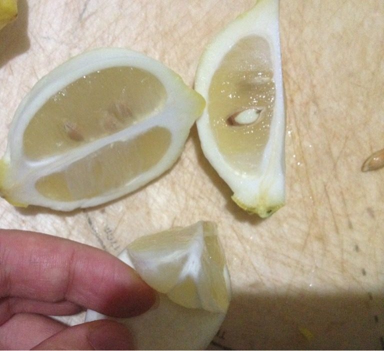 柠檬金橘酱,如图把柠檬象切橙子一样切四瓣,把果肉剥出来,柠檬籽剔干净,把柠檬果肉切碎备用。