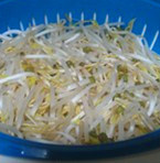 姜汁香菇炒面,<a style='color:red;display:inline-block;' href='/shicai/ 120'>豆芽</a>洗净备用