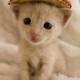 nio-