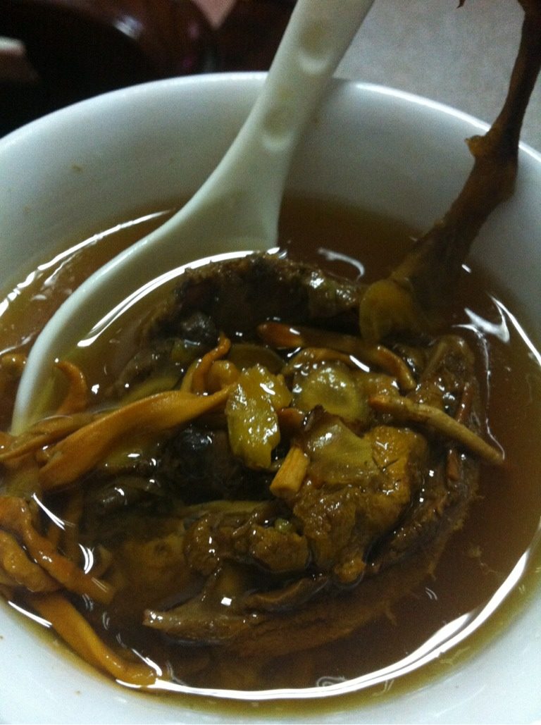 虫草花炖鹌鹑