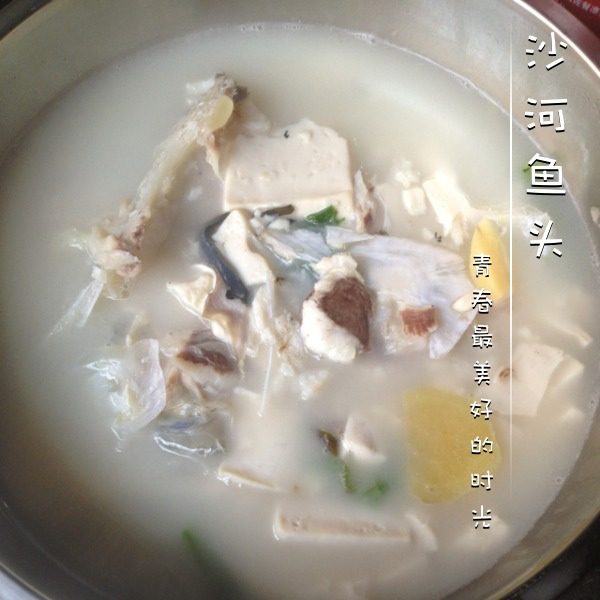 沙河鱼头