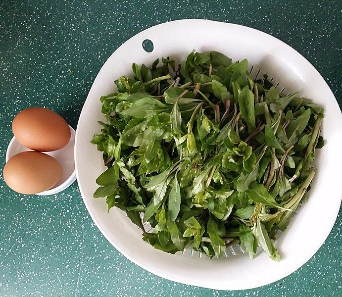 枸杞头炒鸡蛋,准备好所有食材