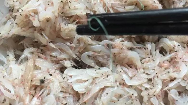 烙虾饼【超级补钙的家常菜品】,买回来得毛虾,去掉杂质