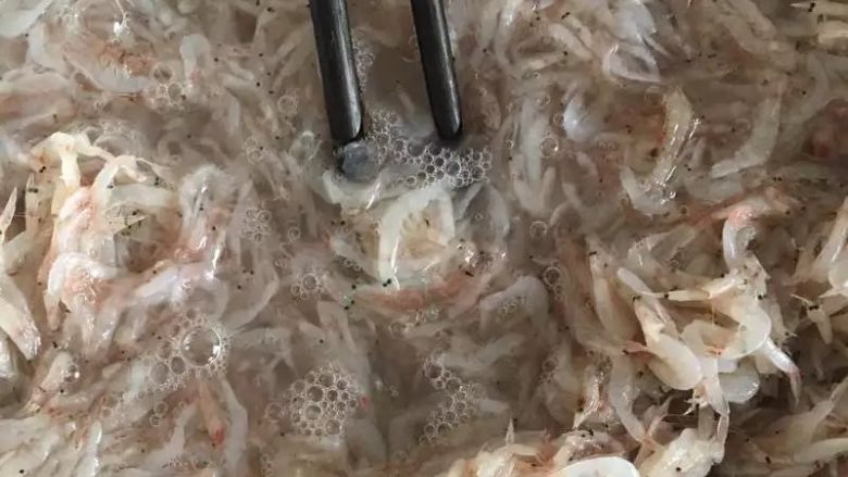 烙虾饼【超级补钙的家常菜品】,过水,因为新鲜的毛虾极易吸水,所以过水的时候要麻利速度快哈