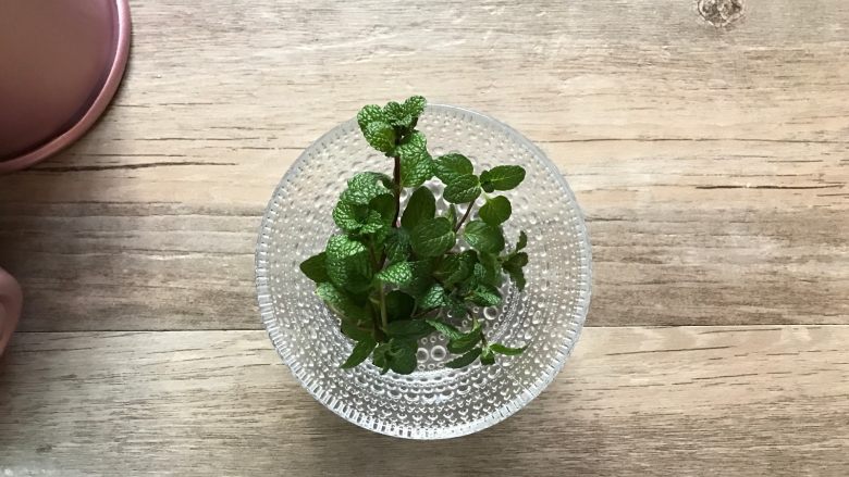 薄荷戚风蛋糕,采摘几朵柠檬薄荷,洗净拭干后取其嫩叶。(薄荷是很好养活的植物,柠檬薄荷的香气很诱人,做美食时也是会经常用到的哦)