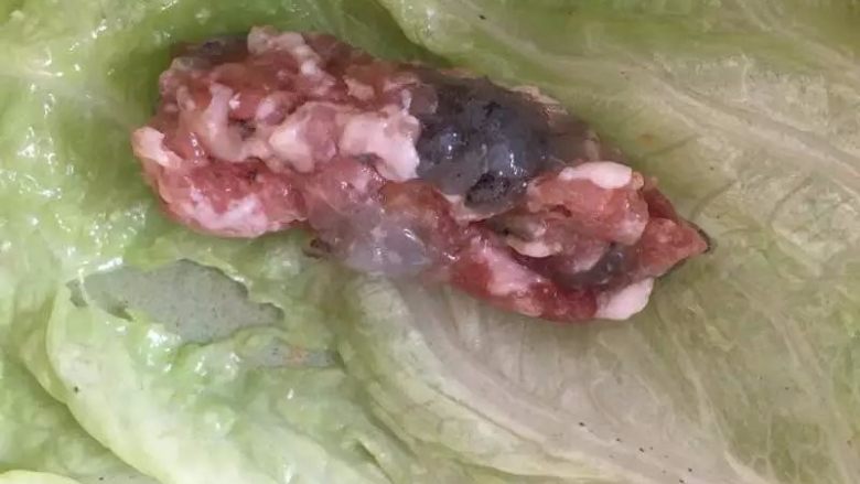 虾仁猪肉白菜卷【鲜上加鲜的宴客菜】,取少许馅料,整成长条形