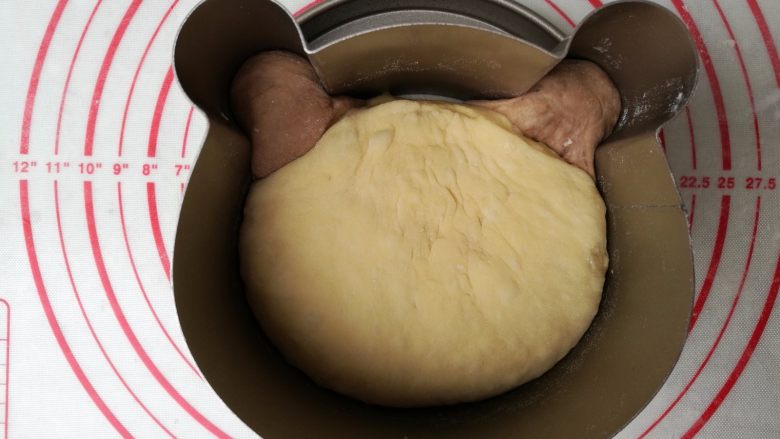 小熊面包,5.面团放入小熊模具内!