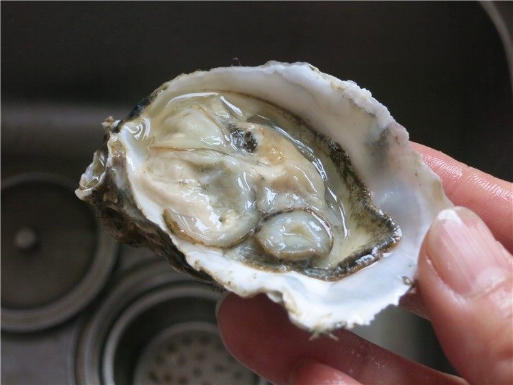 蒜蓉生蚝烤烤更美味,用起子或者刀将闭合的生蚝撬开,去掉上盖留下,蚝肉就留在壳内不要动了