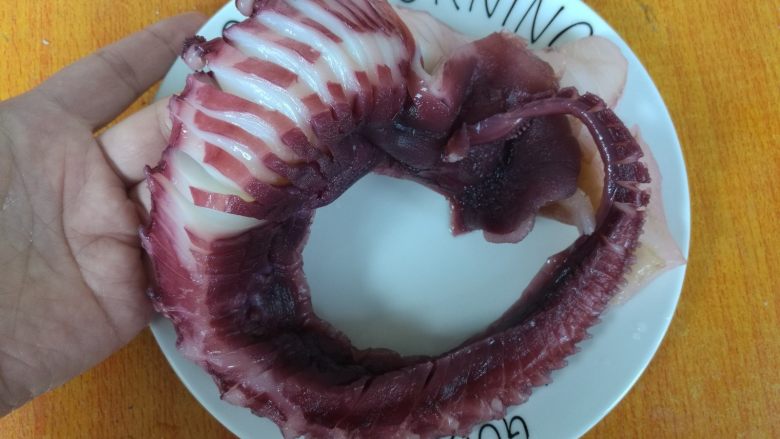 鲜香麻辣章鱼足,切成连刀片,(上面切片,底部相连),章鱼足解冻后饱满肥硕,柔韧十足。如果刀工不好,可以在章鱼足底部垫两根筷子,也可以根据个人喜欢切成片,条,