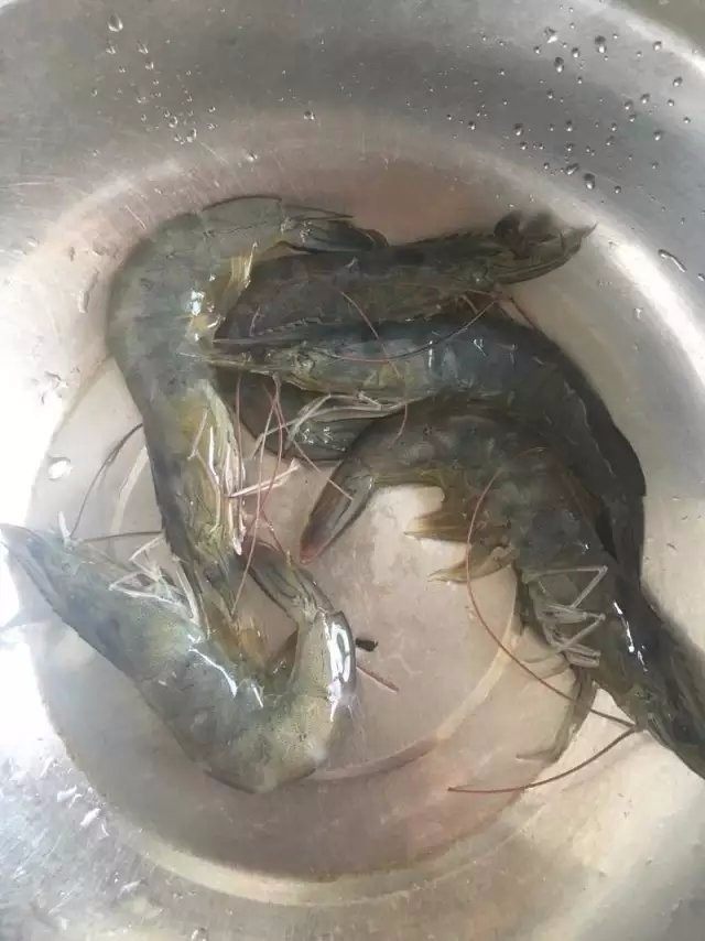 【虾仁海鲜粥】熨帖家人的胃, 在捷赛锅熬粥的时候，准备虾仁。