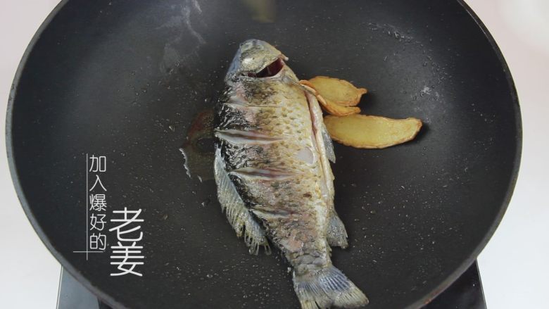 鲫鱼豆腐汤，艾佳人月子餐第二周食谱,放入爆好的老姜