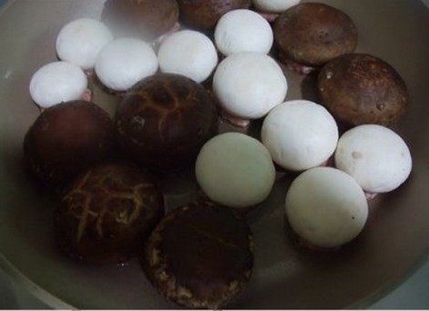 蘑菇小丸子,平底锅放入少量油,把蘑菇有肉的一面煎至金黄,翻面煎片刻