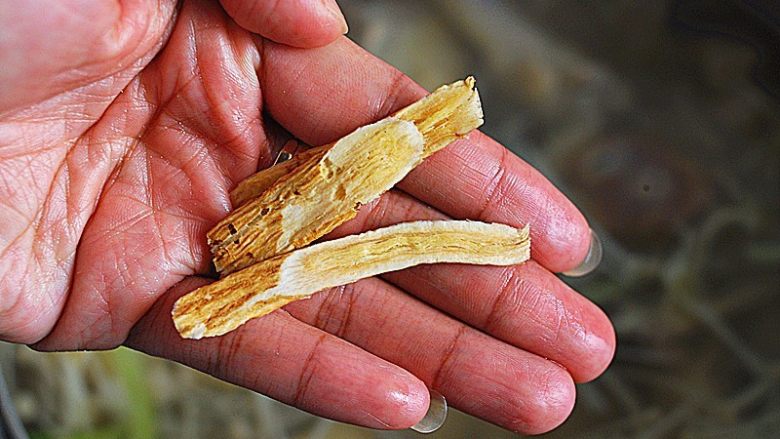 红枣母鸡汤,放入黄芪,大火煮开,转小火煲45分钟