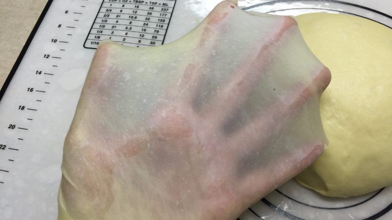 一次发酵椰香绵绵吐司,拉膜检查面团状态,30分钟出手套膜,这样的状态适合做吐司(一次做两份,1000克面团无压力)
