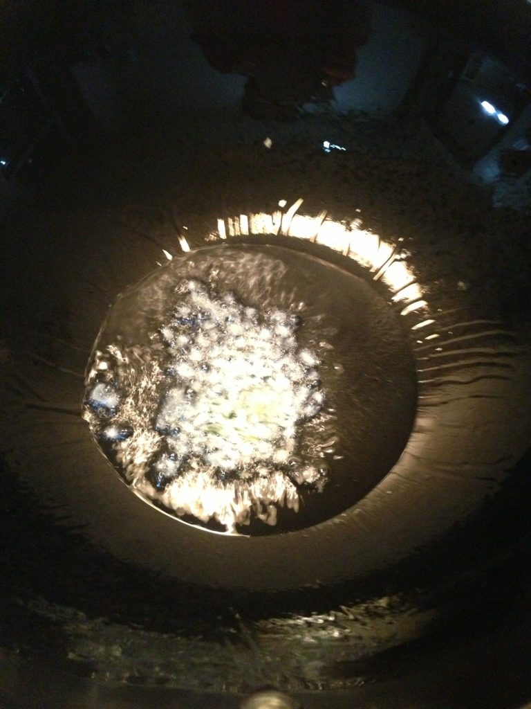 豆角焖面,热锅放油，热至八分爆香葱末