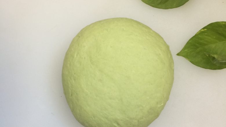 大麦若叶荷叶饼,揉成光滑的面团