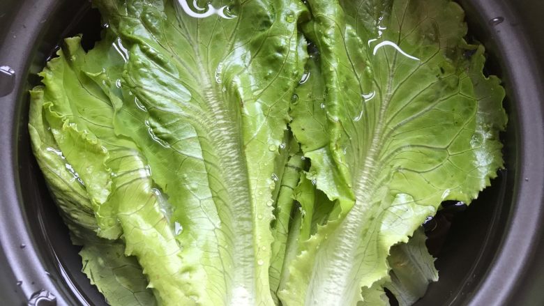 鸡蛋灌饼香肠卷,在松弛面团期间,我们可以把其它的准备工作做好:<a style='color:red;display:inline-block;' href='/shicai/ 121'>生菜</a>洗净后用淡盐水浸泡20分钟,再控干水分备用(最好用冷开水或矿泉水浸泡)