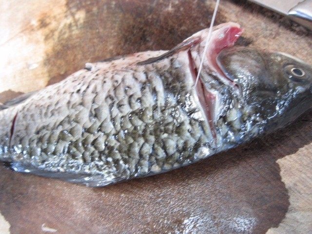 鲫鱼豆腐汤,抠出腥线,一手持刀,边拍边拉很容易就取出来了,另一边也用同样的方法取出腥线。