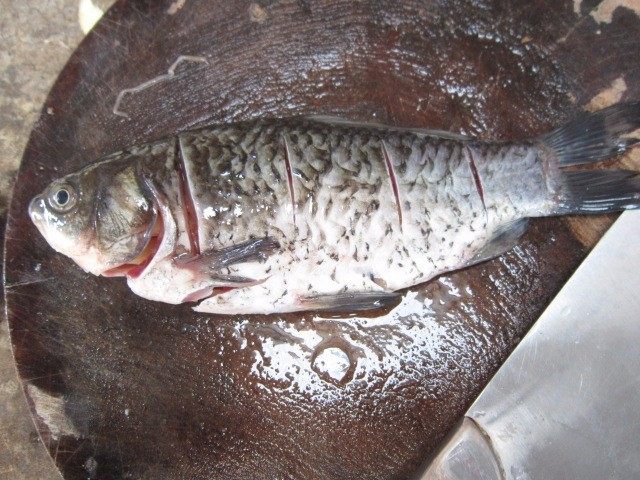 鲫鱼豆腐汤,去除腥线后,分别在鱼背上再横切两刀,便 于入味。