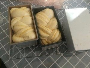 做过几百次的椰蓉吐司,我做了两种型,忘拍照了,下次补上