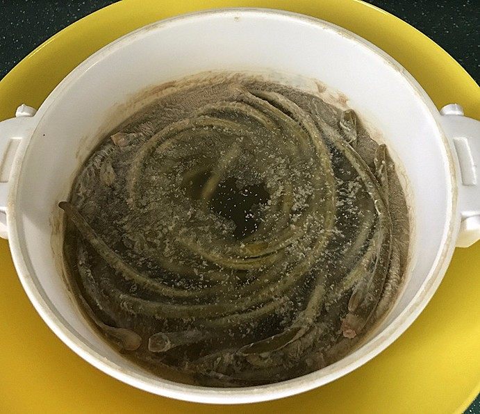 肉沫酸豆角,腌制到第8天,酸豆角就OK了