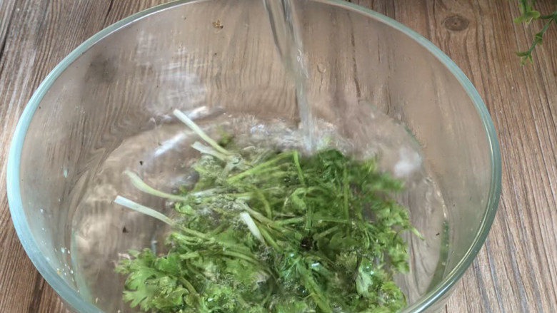 青番茄肉皮猪血汤,香菜摘洗干净,沥水备用