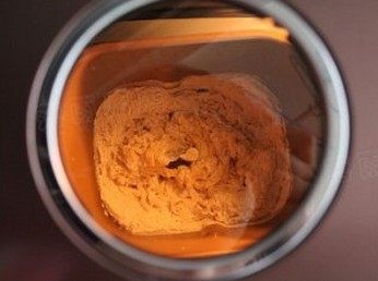 奶香大辫子面包,和面开始,可以通过上面的观察窗关注和面情况