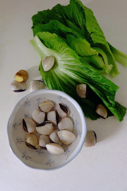 沙白芥菜汤,沙白用清水养半日吐沙
准备好所有食材
沙白,<a style='color:red;display:inline-block;' href='/shicai/ 132'>芥菜</a>洗净备用
