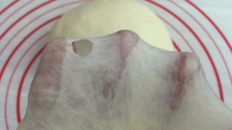 麦香软欧香肠包,2. 揉至能拉出厚模加入油继续揉面,揉至扩展