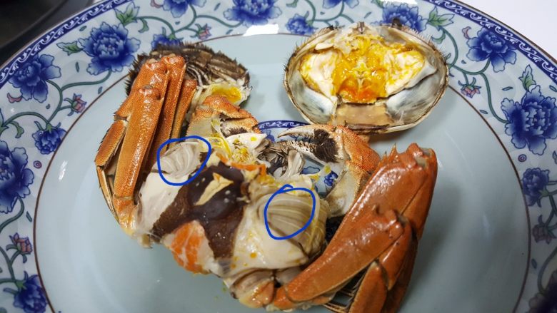 清蒸大闸蟹,16.将蟹身从中间掰开,你会看到一个扁的片是蟹心,这个也不可以吃。还有就是蟹盖上面,有一个像塑料袋一样的东西,这个是蟹胃也是不能吃的。