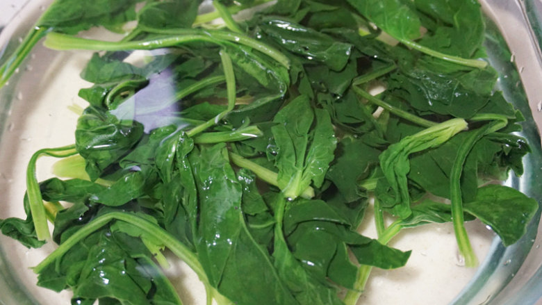 翡翠虾仁,将焯好水的菠菜快速放入冰水中浸泡
叨叨叨:过水的菠菜放入冰水中可以让其颜色更加翠绿