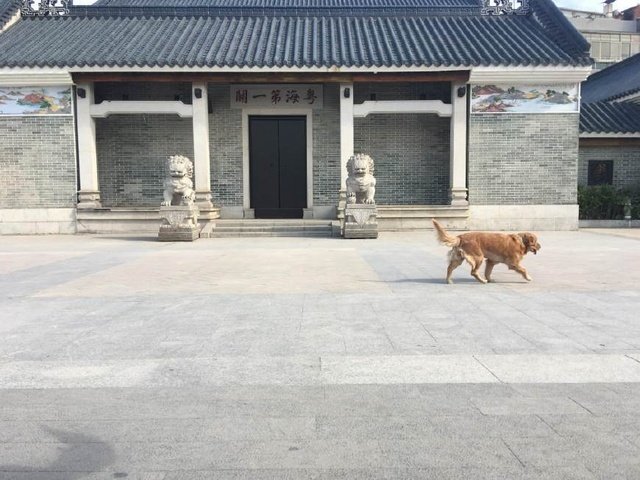 广州 风情之黄埔古港之乡村吃货日记