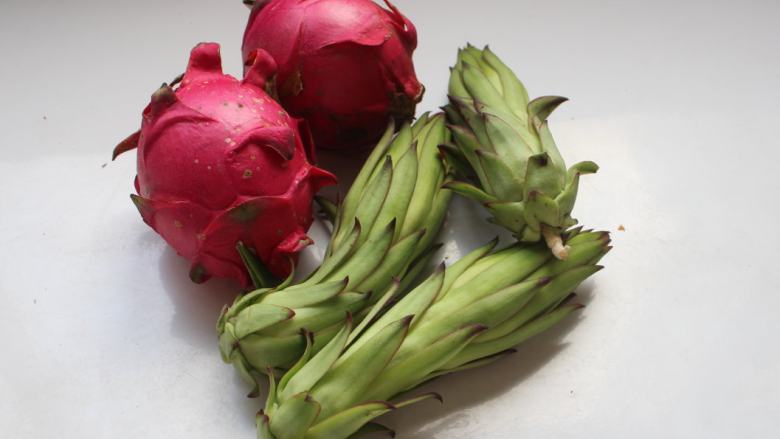 吃掉一朵花+舌尖上的火龙果花,<a style='color:red;display:inline-block;' href='/shicai/ 49698'>火龙果花</a>和昙花看起来都很相似。