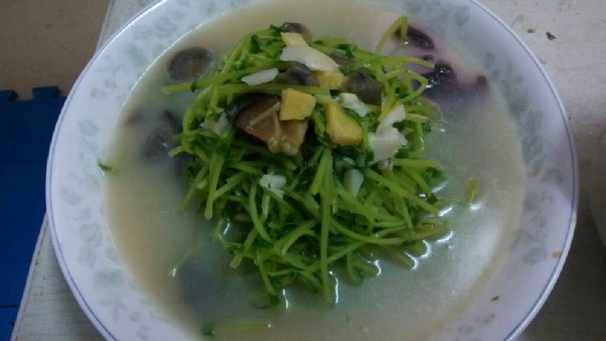 上汤豆苗